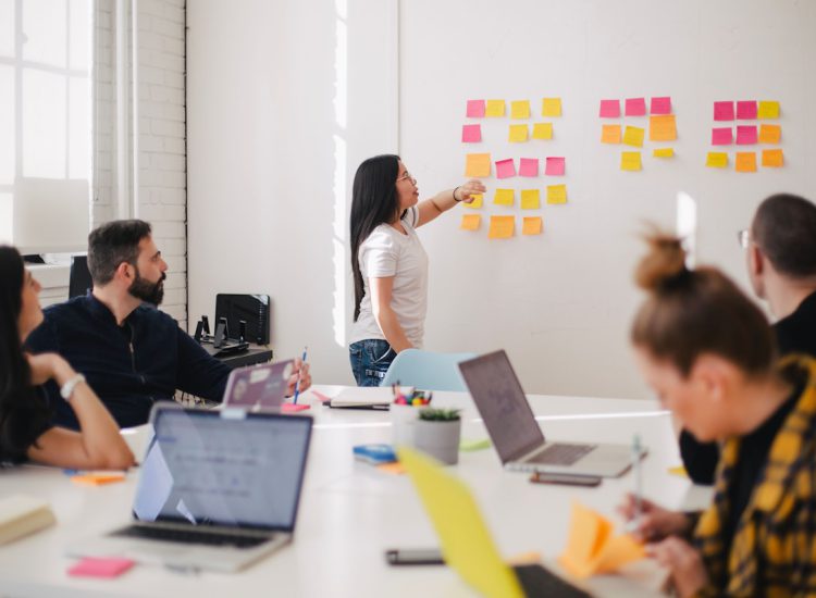 Content Creation Management